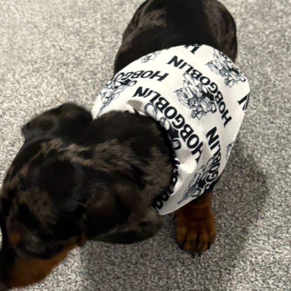 hobgoblin-doggie-bandana2